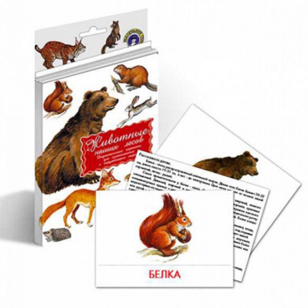 Дидактические карточки "Животные наших лесов" Медведь Калуга