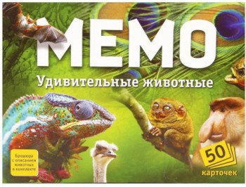 НПИ Мемо Удивительные Животные Медведь Калуга