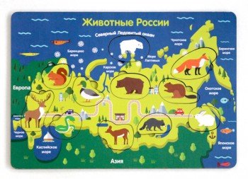 Рамка-вкладыш Животные России Медведь Калуга