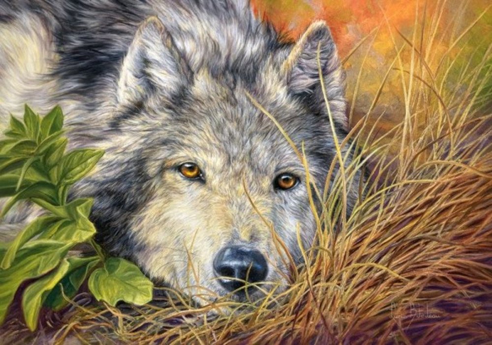 Пазлы 500 Волчья грусть Медведь Калуга