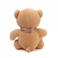 Мягкая игрушка Мишка DL101900301BR Медведь Калуга