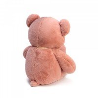 Мягкая игрушка Мишка DL220005301DP Медведь Калуга