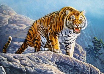 Пазлы 180 Тигр на скале Медведь Калуга