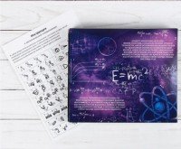 Металлические головоломки "Загадки Эйнштейна" (набор 4шт) 2528228 Медведь Калуга