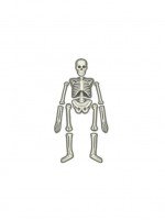 Набор 4M 00-03375 Юный врач. Скелет человека Медведь Калуга