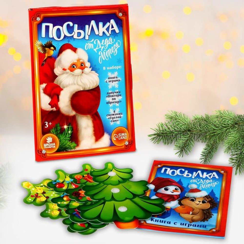 Развивающий набор с играми «Посылка от Деда Мороза» Медведь Калуга