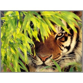 Алмазная мозаика «Тигр в засаде» 28?20см, 18 цветов Медведь Калуга