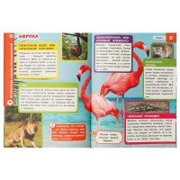313804   Животные разных континентов.Хочу все знать. Энциклопедия А5. 165х215мм, 96 стр. Умка в кор. Медведь Калуга