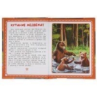 315833   Рассказы о животных. В.В. Бианки.  Читаем сами по слогам. 197х255 мм. 64 стр. Умка  в кор.1 Медведь Калуга