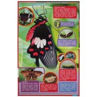 313797   Самые опасные пауки и насекомые. Энциклопедия А4 с развивающими заданиями 197х255мм. Умка в Медведь Калуга