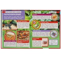 313797   Самые опасные пауки и насекомые. Энциклопедия А4 с развивающими заданиями 197х255мм. Умка в Медведь Калуга