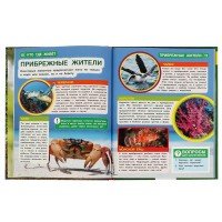 311845   Кто где живёт. Энциклопедия А4 с развивающими заданиями, с вырубкой на обл. 48 стр. Умка в Медведь Калуга