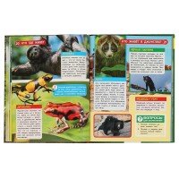 311845   Кто где живёт. Энциклопедия А4 с развивающими заданиями, с вырубкой на обл. 48 стр. Умка в Медведь Калуга