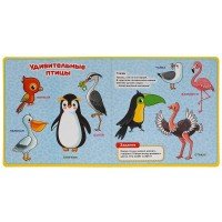 320810   Зоопарк. Дружинина (тактил. книжка) 270х270мм 10стр Умка в кор.30шт Медведь Калуга