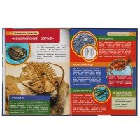 313798   Вымершие существа. Энциклопедия А4 с развивающими заданиями 197х255мм, 48 стр. Умка  в кор. Медведь Калуга