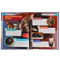 309592  Кошки и собаки. 100 фактов. Энциклопедия А5 с развивающими заданиями 48 стр. Умка в кор.22шт Медведь Калуга