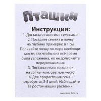 Набор для опытов «Пташки, выращиваем травку», фиолетовый горшочек Медведь Калуга