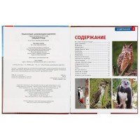 293363   Хищные птицы. (Энциклопедия А4 с развивающими заданиями). 197х255мм. 48 стр. Умка в кор.15ш Медведь Калуга