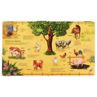 318140   Животные. 100 секретных окошек. 230х270мм 12 стр. 7бц Умка в кор.24шт Медведь Калуга