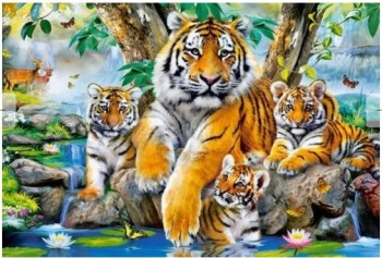 Пазлы 1000 Семья тигров у ручья Медведь Калуга