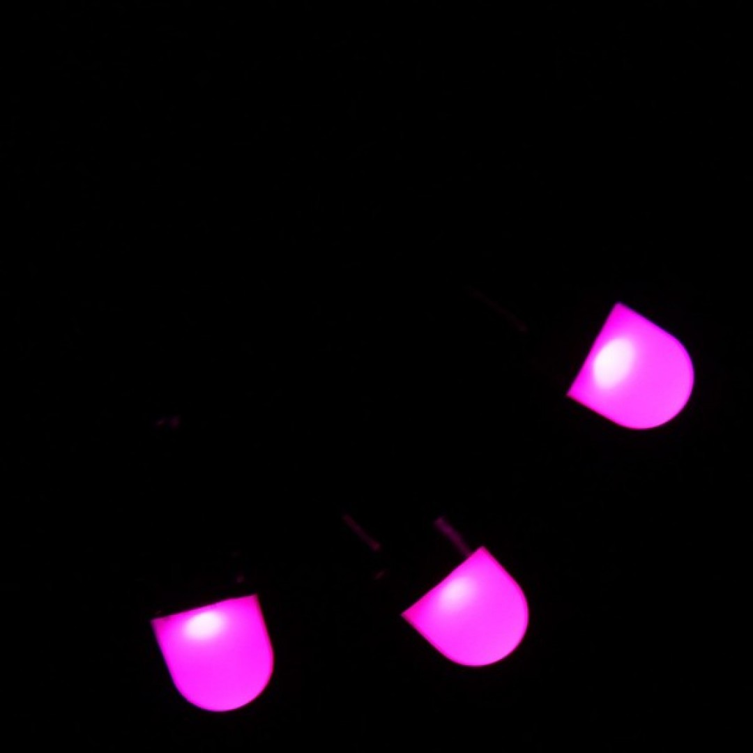 Гирлянда для дома  Полусфера 7 м 50 ламп LED черный пров., 8 реж.,IP-40, Фиолетовый (возможность сое Медведь Калуга
