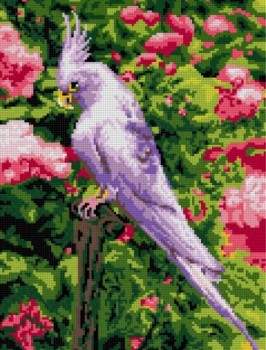 Ам-050 Алмазная мозаика 30*40 см (полное заполнение) "Белый попугай" Медведь Калуга