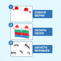 ЭВРИКИ Набор для опытов "Муравьиная ферма"   7826144 Медведь Калуга