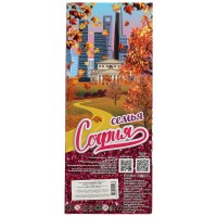 347738 Кукла 29 см София беременная, руки и ноги сгиб, ресницы, акс, кор КАРАПУЗ в кор.24шт Медведь Калуга