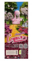 335265 Кукла 29 см София , руки и ноги сгиб, акс, кор КАРАПУЗ в кор.24шт Медведь Калуга