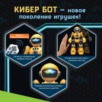 IQ BOT Робот радиоуправляемый "Кибер Бот" SL-07054B цвет серый, звук, свет   10320781 Медведь Калуга