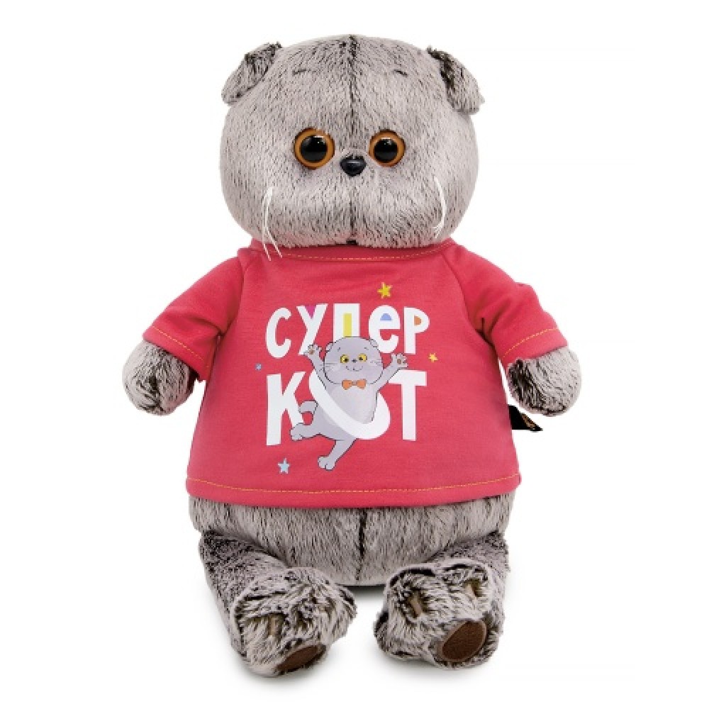 Кот Басик в лонгсливе с принтом "Супер кот" Медведь Калуга