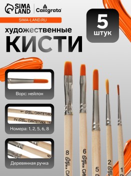 Набор кистей для рисования, синтетика, 5 штук: №: 1, 2, 5 (круглые), № 6, 8 (плоские), Calligrata, круглые, плоские, деревянная ручка, в пакете Медведь Калуга