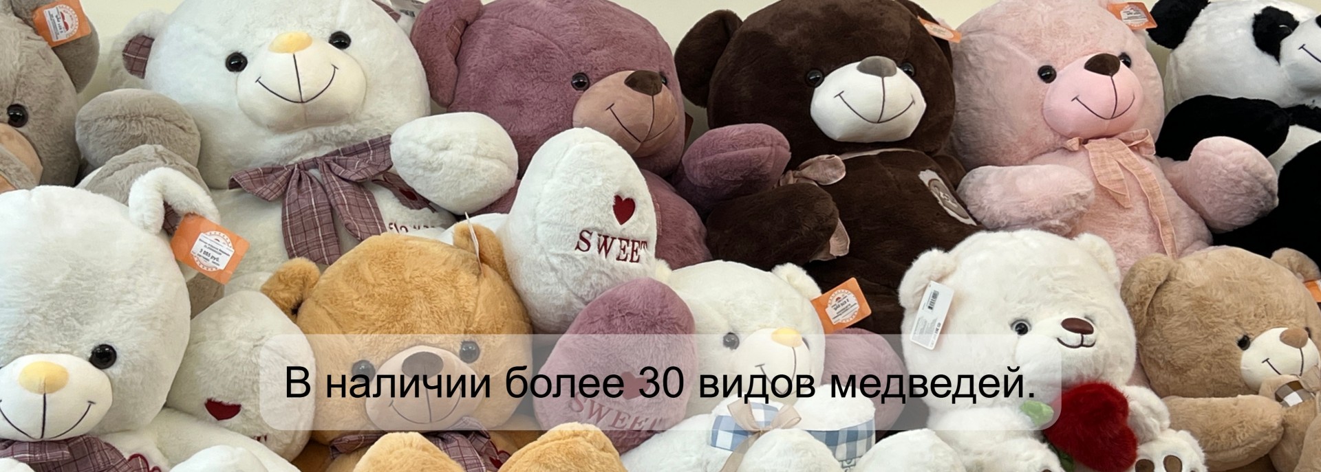 медведь